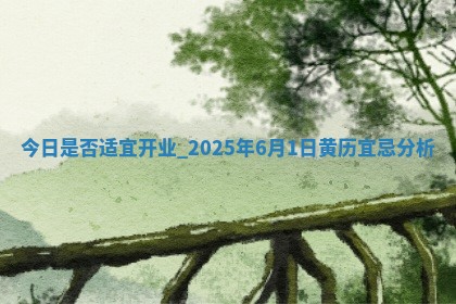 今日是否适宜开业,2025年6月1日黄历宜忌分析