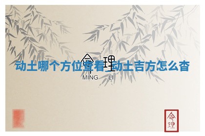今天2025年12月22日开始施工老黄历推荐吗,农历2025年冬月初三动土日子